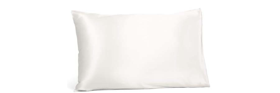 Fishers Finery 25 Momme 100% Pure Mulberry Silk Pillowcase - perfectextile