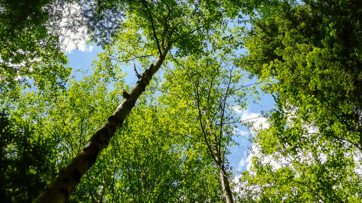 Breathability & Temperature
