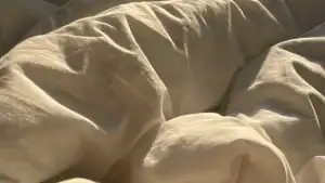 Micro flannel vs Cotton, Bamboo, and Linen Bedding Fabrics